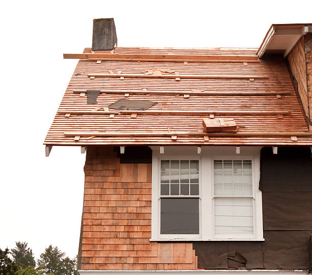 Best Siding Maintenance  in Muttontown, NY